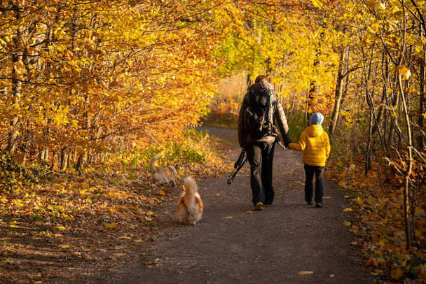 Äiti ja lapsi kävelevät vuoristovaelluspolkua pitkin. Perhe viettää aikaa. Puolan vuoret - Valokuva, kuva