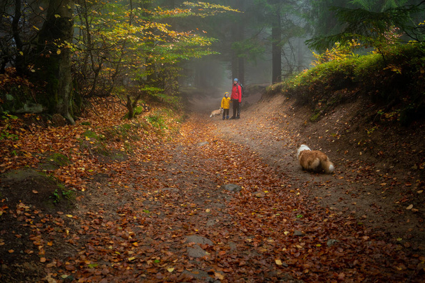Mamãe e seu filhinho vão em uma trilha de montanha em tempo de outono molhado. Eles são acompanhados por um cão. Montanhas polacas - Foto, Imagem