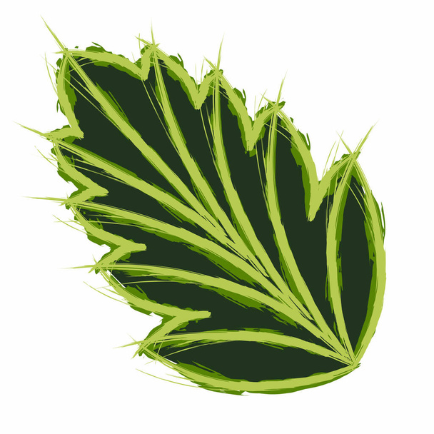 leaves seamless vector floral background. leaf print illustration. Summer jungle print. - Vektor, Bild