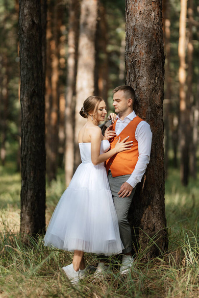 νεαρή νύφη ζευγάρι σε ένα λευκό κοντό φόρεμα και γαμπρός σε ένα γκρι κοστούμι σε ένα πευκοδάσος ανάμεσα στα δέντρα - Φωτογραφία, εικόνα