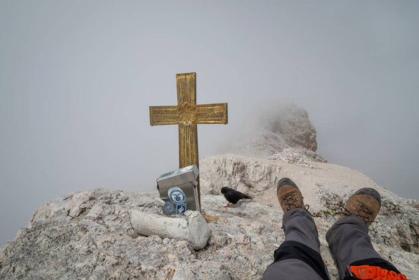 View obscured by clouds from the top of Cima di Mezzo (3154 m). The tourist is resting with the accompanying bird. - Photo, Image