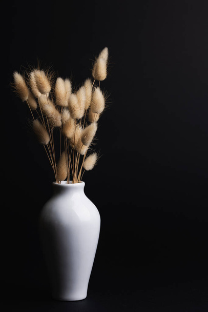 Lagurus in a vase on a black background. screen wallpape - Foto, immagini