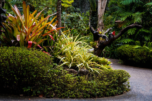 Luxury landscape design of the tropical garden. - Foto, Bild