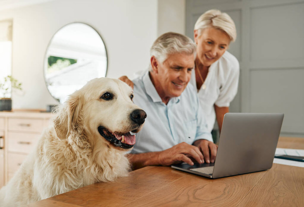 Happy senior couple, laptop and dog at table together in living room. Elderly man and woman research retirement plan or financial asset management on internet in home with cute pet in Switzerland. - Zdjęcie, obraz
