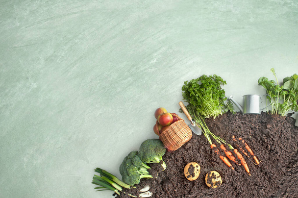 Fruits and vegetables on chalkboard growing in circular garden compost including carrots, potatoes  - 写真・画像