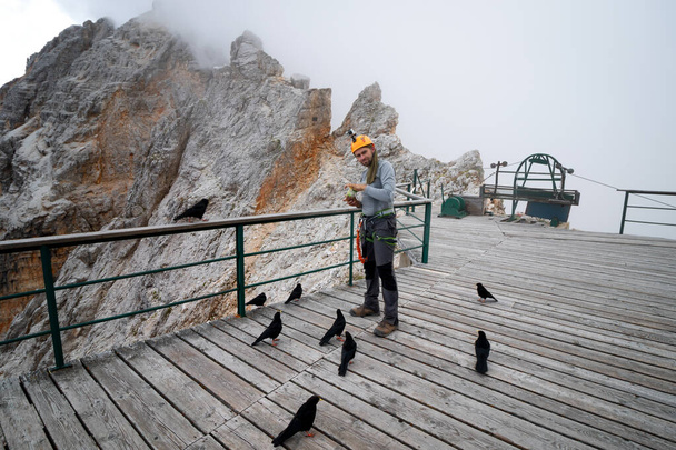 Turista eteti a madarak pirrhocorax graculus a zárt menedéket a Dolomitok. Dolomitok, Olaszország - Fotó, kép