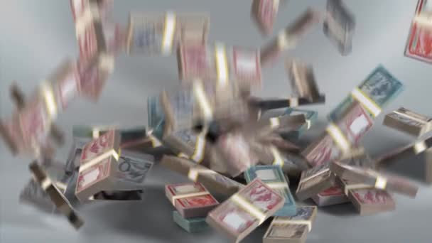 Nepal Banknotes Money / Nepalese rupee / Currency ,  / NPR Bundles Falling - Imágenes, Vídeo