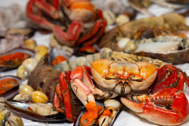 Assorted seafood to make paella, shrimp shells, squid, lobster, crab - Photo, Image