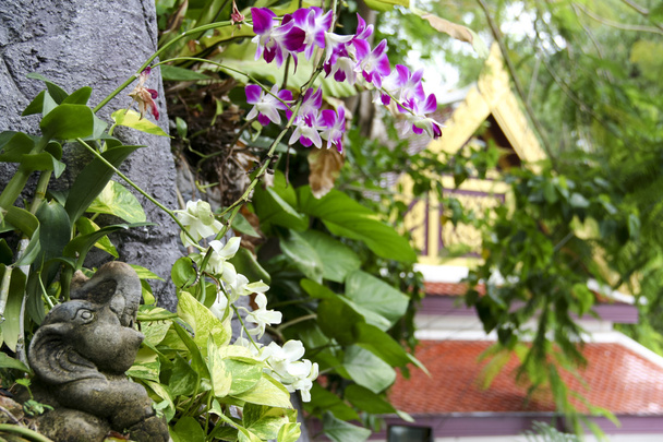 chrám zahrady wat saket bangkok - Fotografie, Obrázek