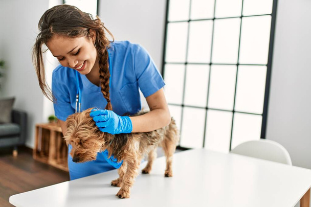Joven hermosa mujer hispana veterinario sonriendo confiado examinando perro en casa - Foto, imagen