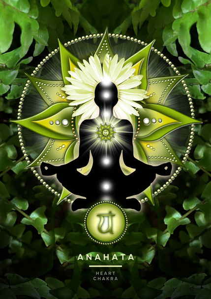 Meditação chakra coração na postura de lótus ioga, na frente do símbolo chakra anahata e calmante, samambaias verdes. Cartaz pacífico para meditação e cura de energia chakra. - Foto, Imagem
