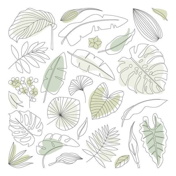 Tropical plant line art set. Doodle sketch art of monstera and philodendron leaves, exotic flowers, tropical tree with green background. Color design elements - Vetor, Imagem