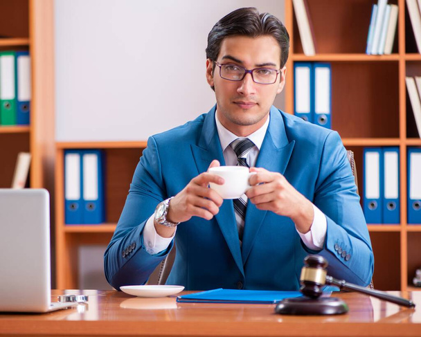 The lawyer working in the office - Photo, Image