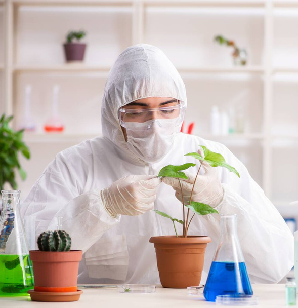 The biotechnology chemist working in lab - 写真・画像
