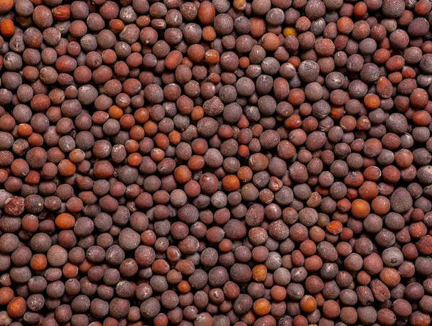 макросъемка и вид сверху на семена черной горчицы в деталях с высоким увеличением очень близко. Идеальная еда и специи горчицы фон - Фото, изображение