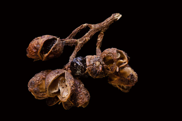 super macro tiro comida fundo de indonésio andaliman selvagem pimenta casca de baga isolado muito perto em detalhe no preto - Foto, Imagem