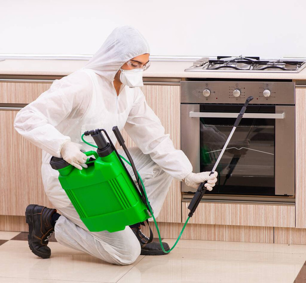 The professional contractor doing pest control at kitchen - Foto, Bild