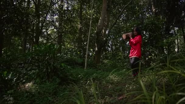 Ázsiai nő piros blúzban, aki egy fatörzset cipel a vállán az erdőben délután. - Felvétel, videó