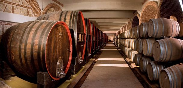 Wine cellar - Photo, Image