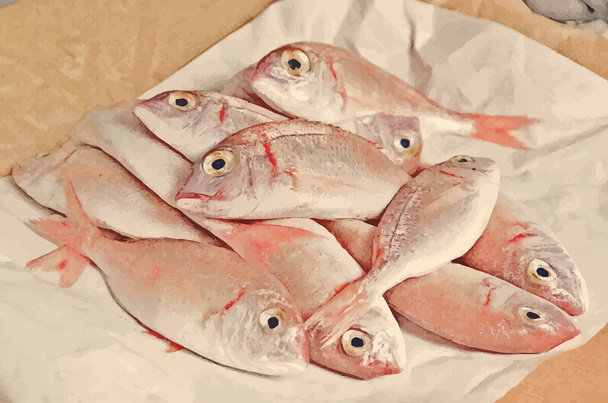 Verse vis met rode schubben - Vector, afbeelding
