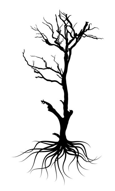 Negro árbol muerto forma
 - Vector, imagen