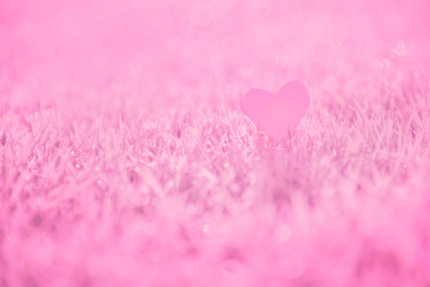 Heart Pink pastelli hämärtynyt tausta rakkauden Ystävänpäivä käsite. Rose vaaleanpunainen väri vaikutus glitter. Taustakuva abstrakti sumea bokeh juhlava. Pehmeä kimallus epäselvä tausta pastellivärisiä. - Valokuva, kuva