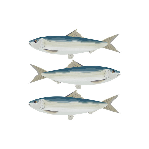  Logo Ilustración de un grupo de sardinas sobre fondo blanco - Vector, imagen