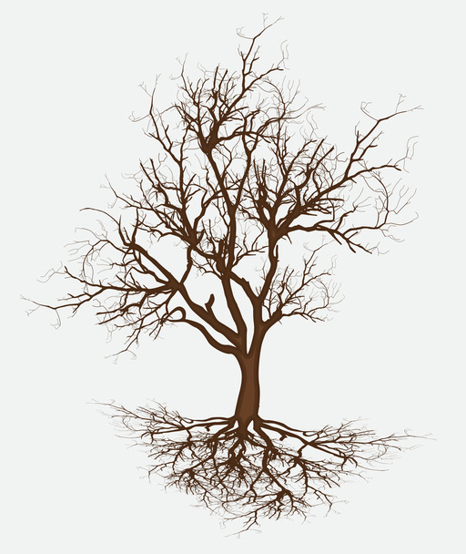 Zmarłe drzewo gałęzie wektor - Wektor, obraz