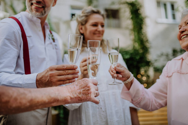 A mature bride and groom toasting with guests at wedding reception outside in the backyard. - Photo, image