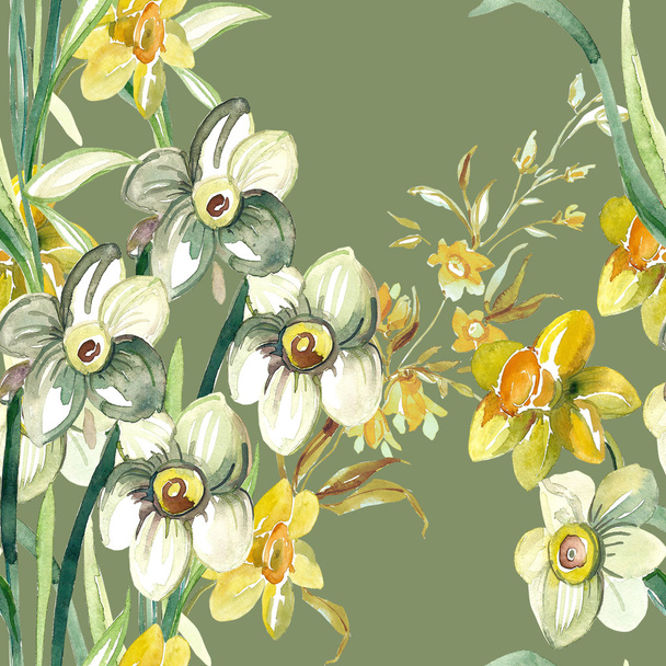 Colorful narcissus flowers - Foto, Imagen