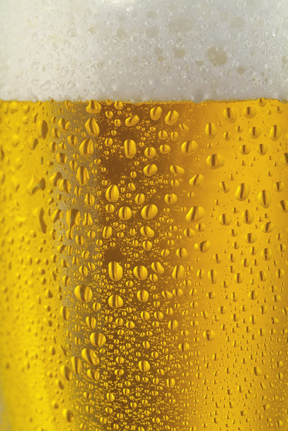 Verre frais de pils bière avec mousse et perles d'eau condensée
 - Photo, image