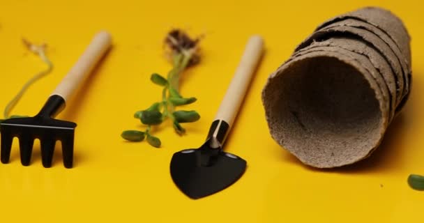 Macetas de turba de rotación, herramientas de jardinería y verdes sobre fondo amarillo, concepto de obras de jardín de primavera - Metraje, vídeo