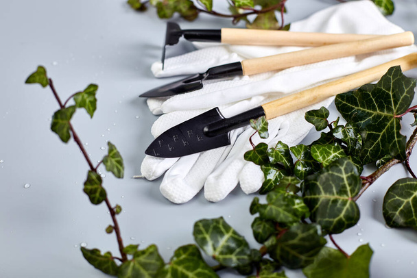 Outils de jardinage, gants et feuilles vertes sur fond gris, concept de travaux de jardinage printanier, pose plate, vue sur le dessus.  - Photo, image