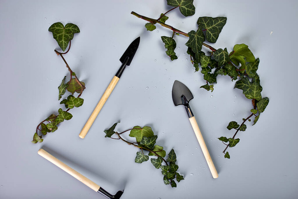 Gardening tools and green leaves on grey background, Spring garden works concept, flat lay, top view, copy space. - Photo, Image