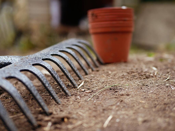 Giardino rastrello e vasi di piante in un giardino primo piano colpo fuoco selettivo - Foto, immagini
