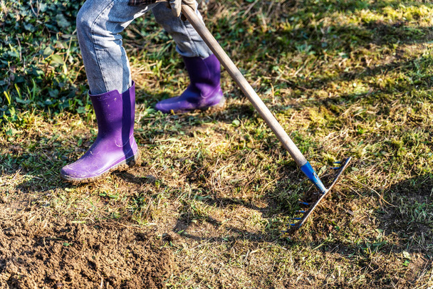 Spring garden work, cleansing the land. Preparing the land for planting, cleaning using a rake - Фото, зображення