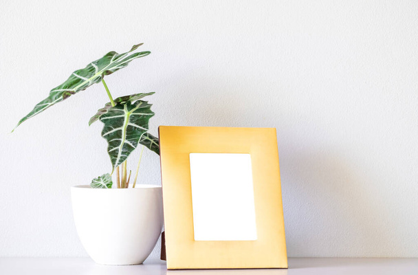 Amarillo moderno marco de fotos de escritorio maqueta y Alocasia sanderiana Bull o Alocasia Planta sobre mesa blanca y fondo de pared blanco - Foto, Imagen