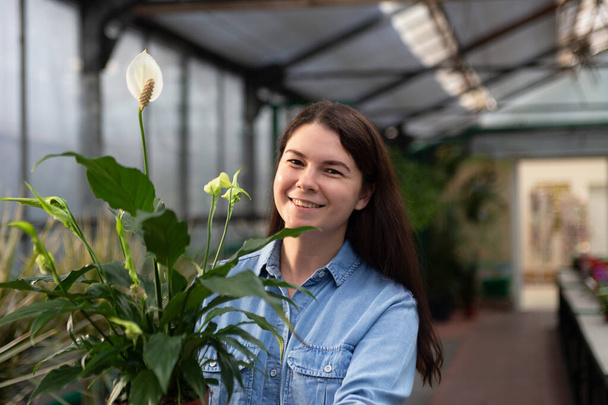 Portrait of smiling woman in greenhouse with spathiphyllum in the pot. - Foto, Imagen
