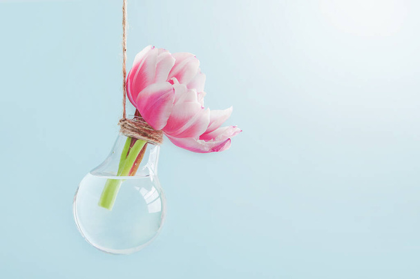 Transparente Glühbirne als Blumenvase. Umweltfreundliches Haus, Umweltschutz, erneuerbare, nachhaltige Energiequellen. Glückliche Glückwunschkarte zum Internationalen Frauentag. - Foto, Bild