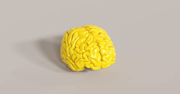 cervello umano giallo Modello anatomico sul pavimento - Foto, immagini