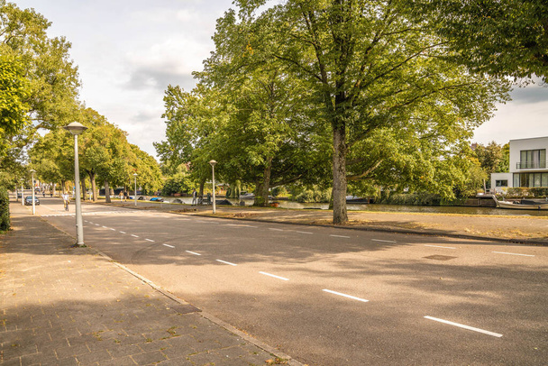 an empty street with trees and buildings in the background on a sunny day, as seen from across the street - Photo, image