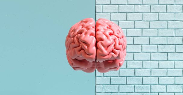 Cerebro humano contra una pared, imagen conceptual para el feminismo y los derechos de la mujer - Foto, imagen