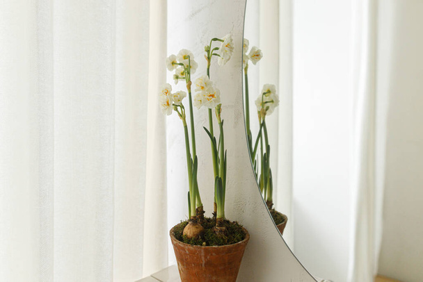 Bellissimi narcisi che crescono in vaso rustico sullo sfondo della parete del bagno moderno. Elegante arredamento floreale casa, bagno interior design. Fiori primaverili in vaso di argilla - Foto, immagini