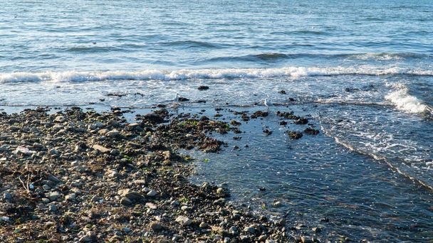 Ebb and flow. Tide. Sea level fall or decreasing. Seascape - Foto, Bild