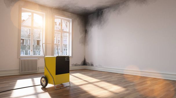 Professioneller Luftentfeuchter nach Wasserschaden im Raum mit Schimmel - Foto, Bild
