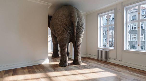 Elefante grande en apartamento como una divertida falta de espacio e imagen de concepto de mascota - Foto, Imagen