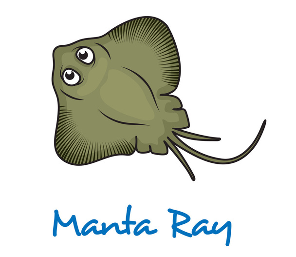 Dibujos animados Manta Ray
 - Vector, imagen