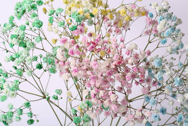 Beautiful colorful gypsophila flowers on white background, closeup - Zdjęcie, obraz