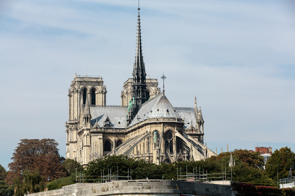 Katedrála Notre Dame v Paříži. Francie - Fotografie, Obrázek