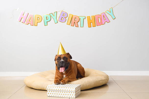Boxer chien avec chapeau de fête, cadeau et texte HAPPY BIRTHDAY sur mur léger - Photo, image